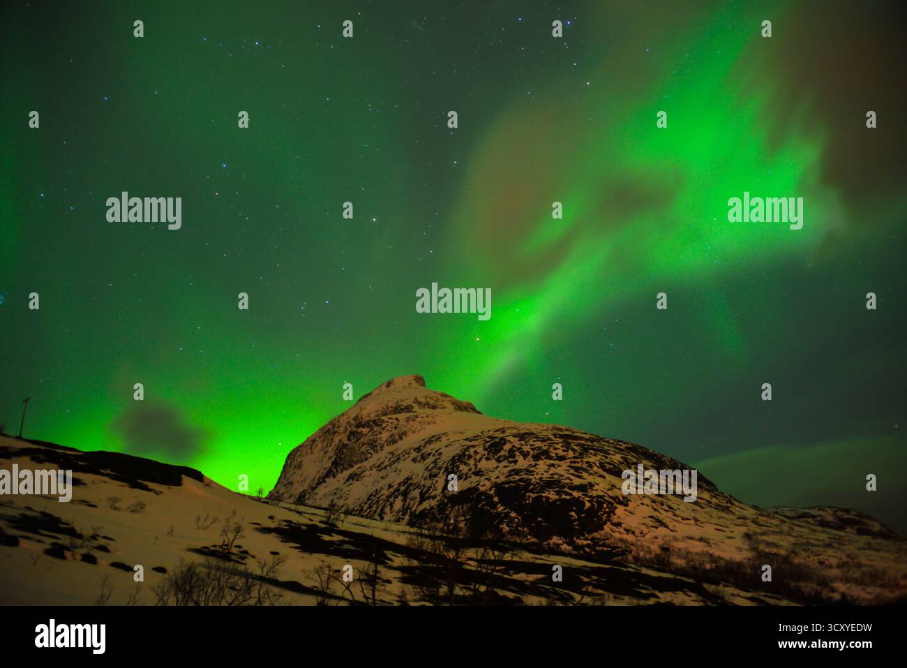 Aurores boréales dans le ciel de Norvège Banque D'Images