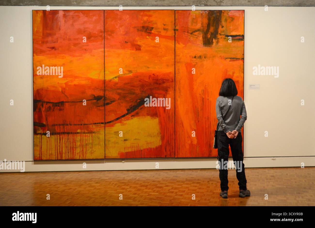 Une peinture de 1959 de l'artiste expressionniste abstrait américain Fritz Bultman intitulée 'Heat of Sky : Trembling Prairie' au Greenville (SC) Museum of Art. Banque D'Images