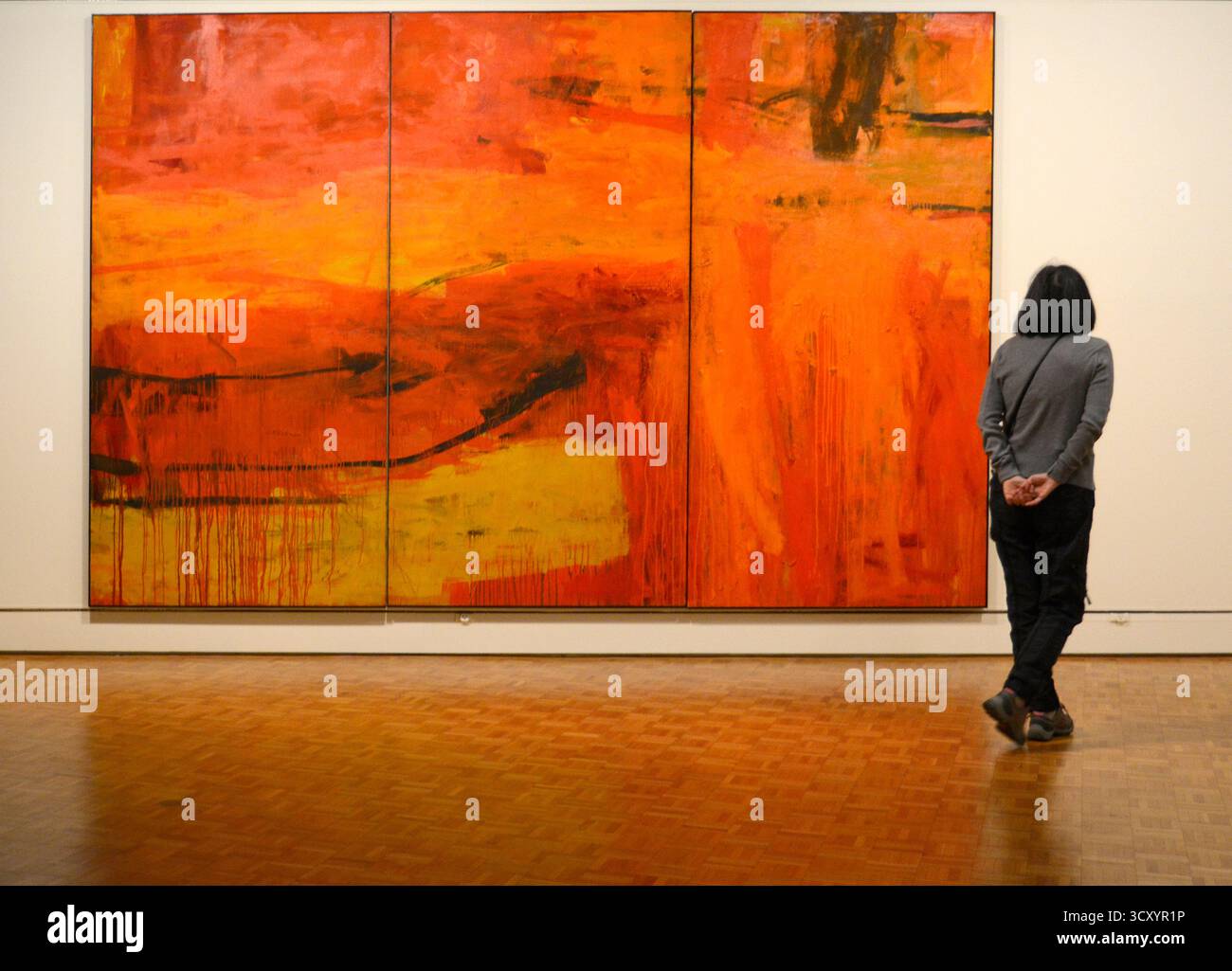 Une peinture de 1959 de l'artiste expressionniste abstrait américain Fritz Bultman intitulée 'Heat of Sky : Trembling Prairie' au Greenville (SC) Museum of Art. Banque D'Images