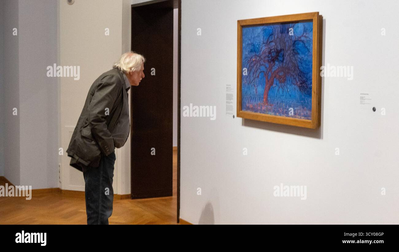 Touriste regardant la peinture d'arbre bleu de Mondriaan Banque D'Images