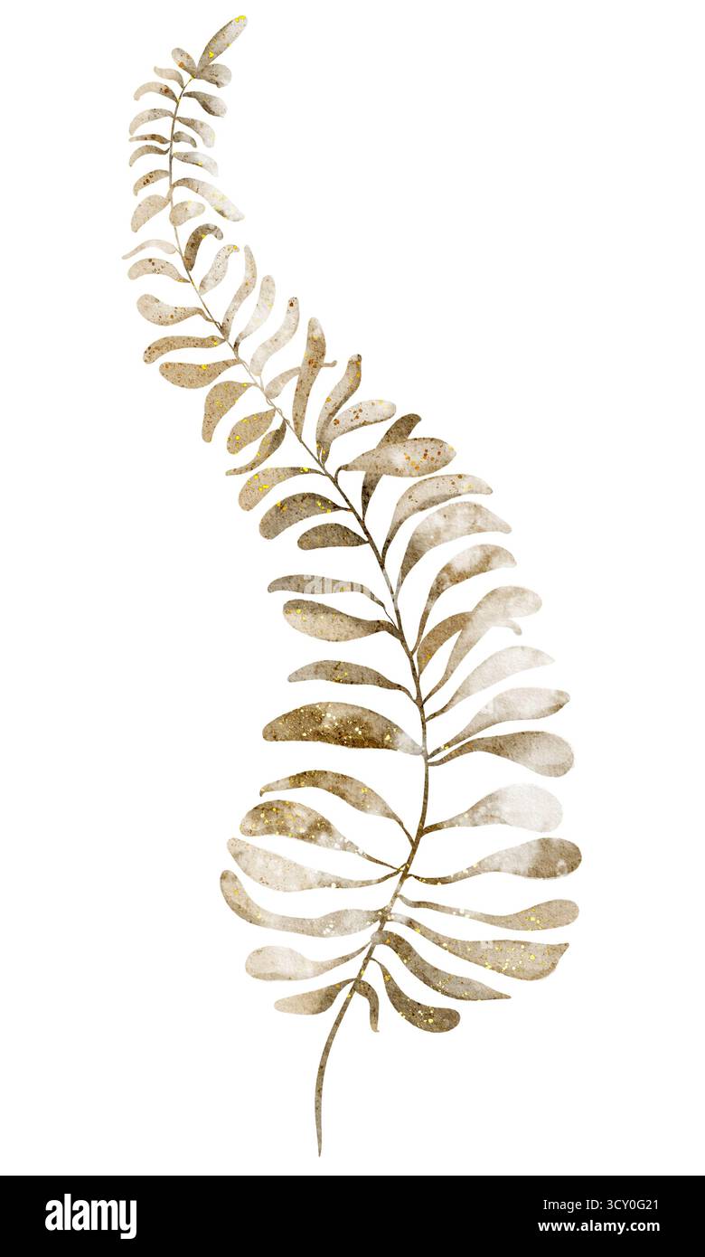 Illustration aquarelle d'une feuille séchée de fougère, parfaite pour les dessins botaniques, les invitations de mariage et les cartes de voeux. Idéal pour l'automne ou thème rustique Banque D'Images