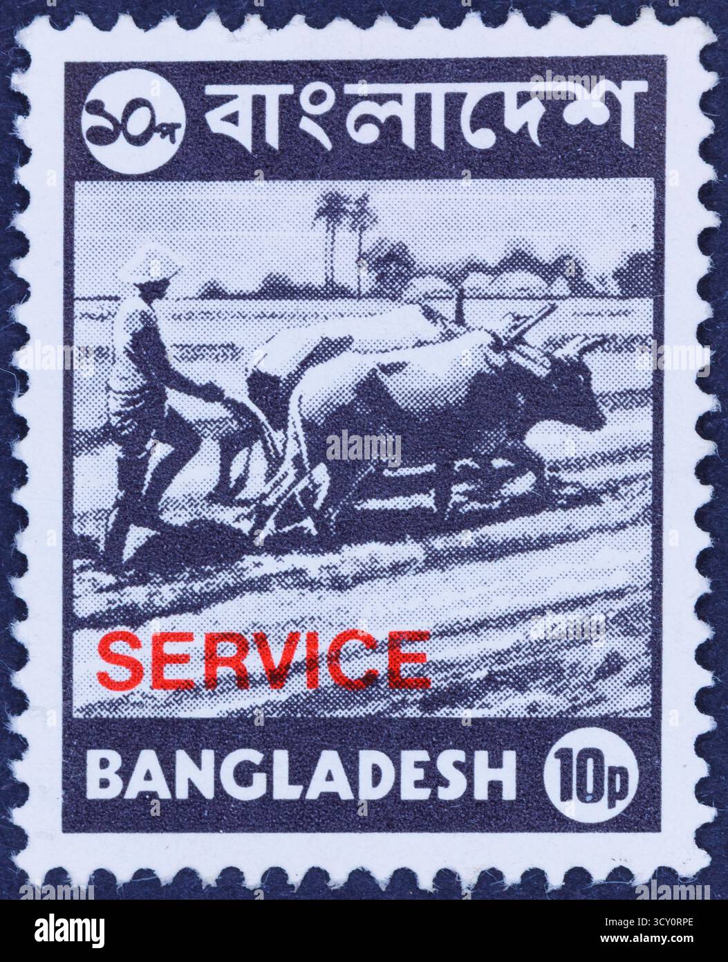 Un timbre-poste représente un agriculteur labourant un champ avec un taureau et une charrue. Le timbre comporte du texte en bengali et en anglais, avec un marquage rouge « SERVICE ». Banque D'Images