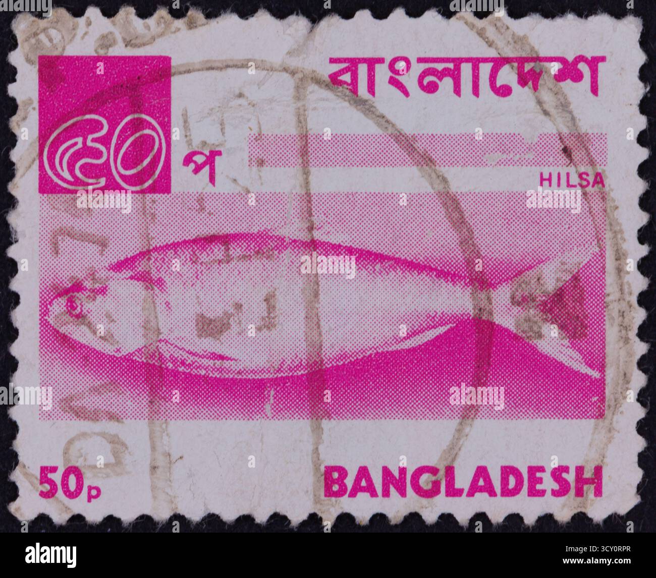 Un timbre-poste rose et blanc représente une illustration de poisson Hilsa, un texte en bengali et « Bangladesh » en anglais. La valeur est 50p. Banque D'Images