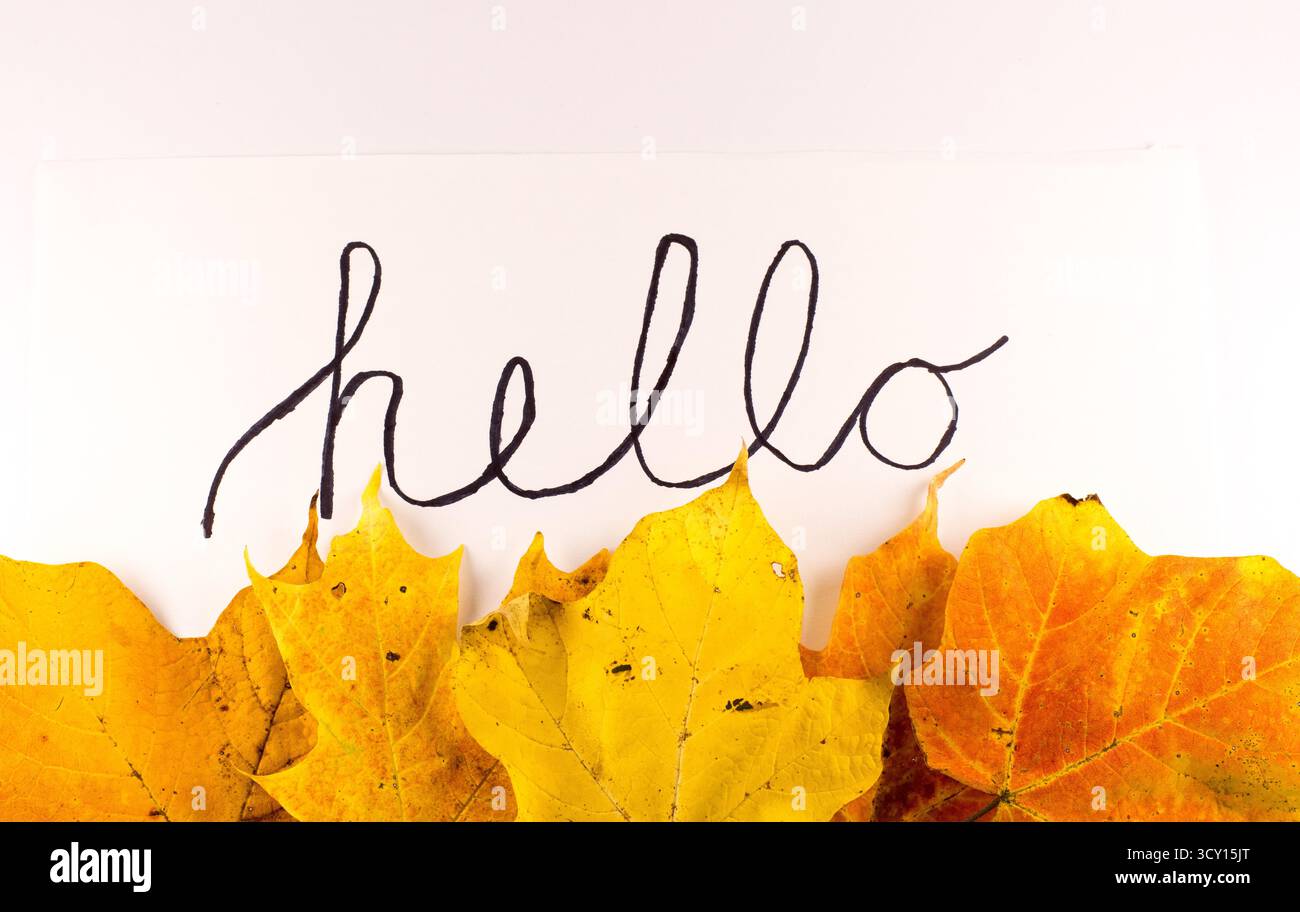 Bonjour affiche de voeux d'automne avec feuilles d'automne encadrant fond blanc pour décor d'image saisonnier Banque D'Images
