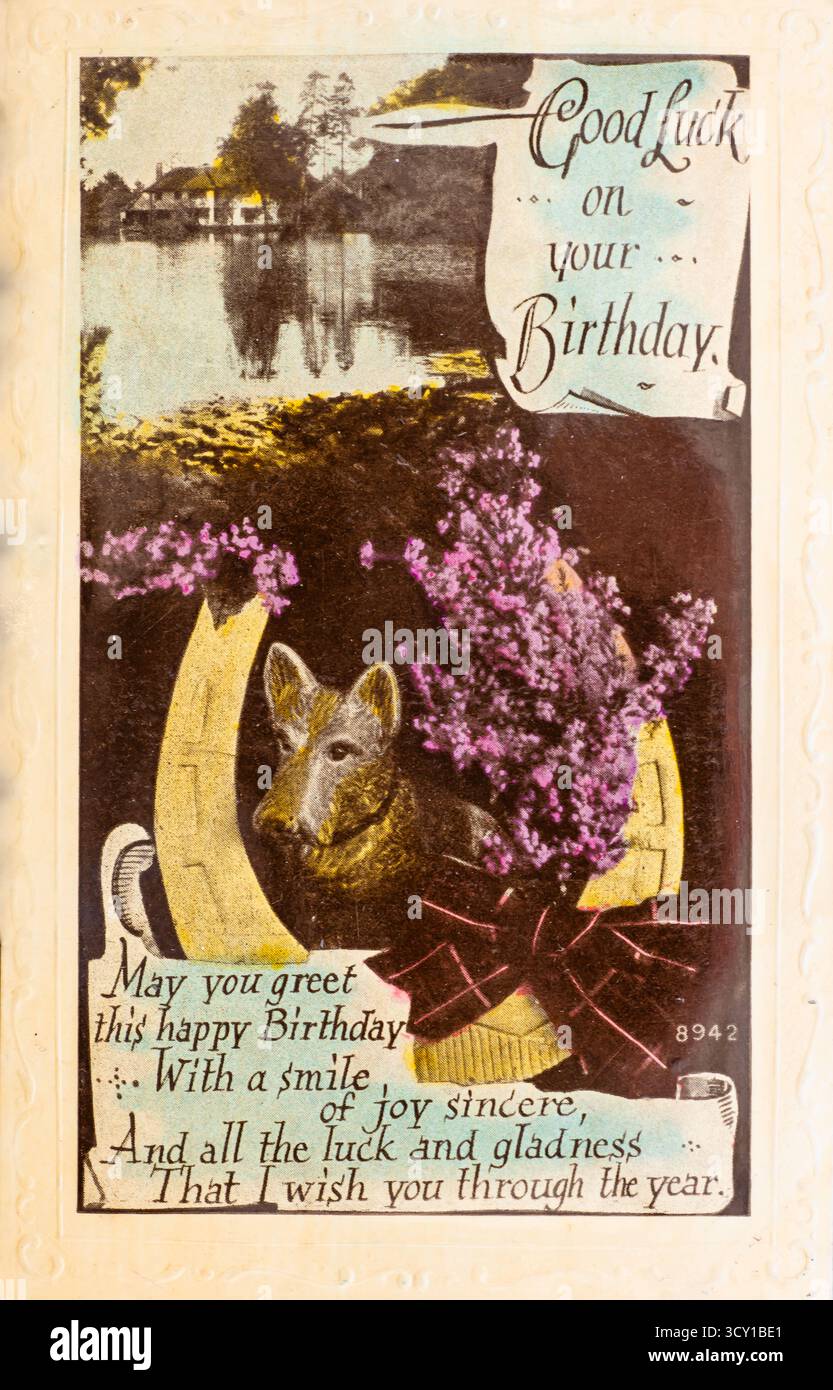 Carte d'anniversaire vintage des années 1910. Série WBL Academy colorée à la main avec fer à cheval, étang Village et chien. Banque D'Images