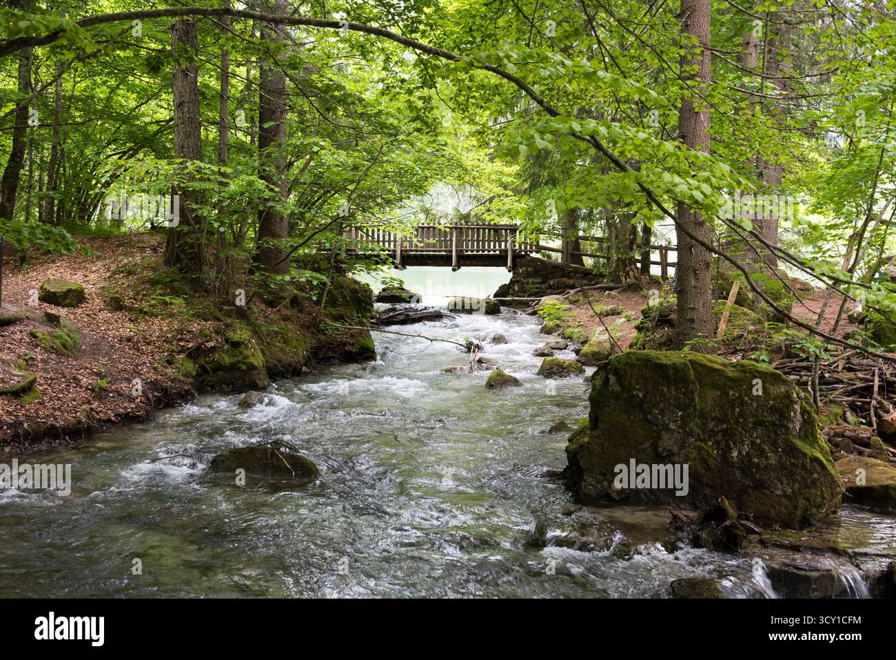 Parco Naturale Adamello Brenta, trente, Italie Banque D'Images