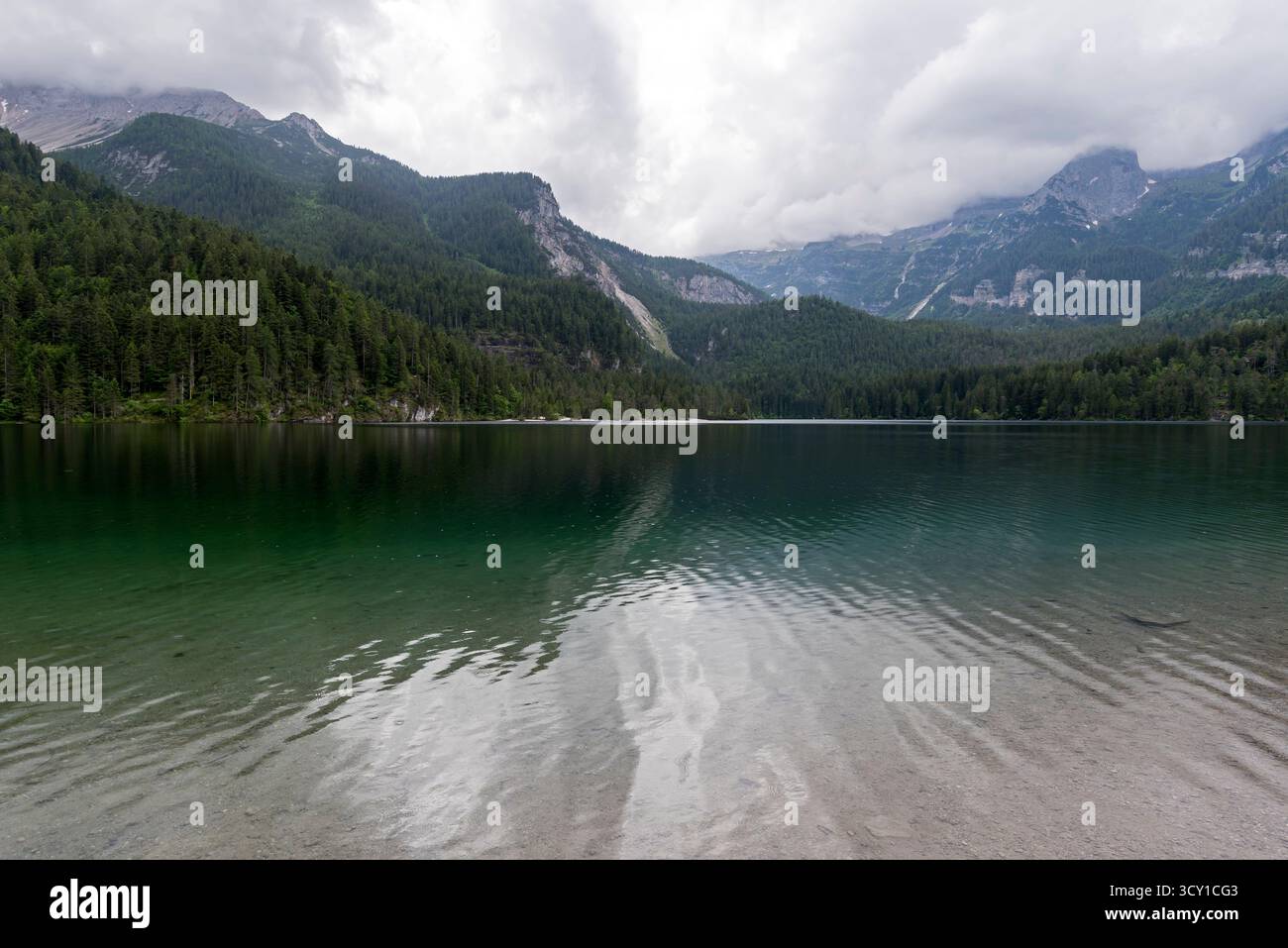 Parco Naturale Adamello Brenta, trente, Italie Banque D'Images