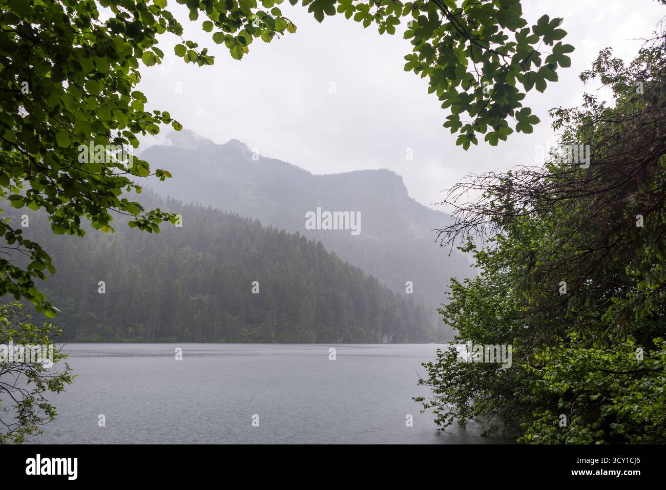 Parco Naturale Adamello Brenta, trente, Italie Banque D'Images