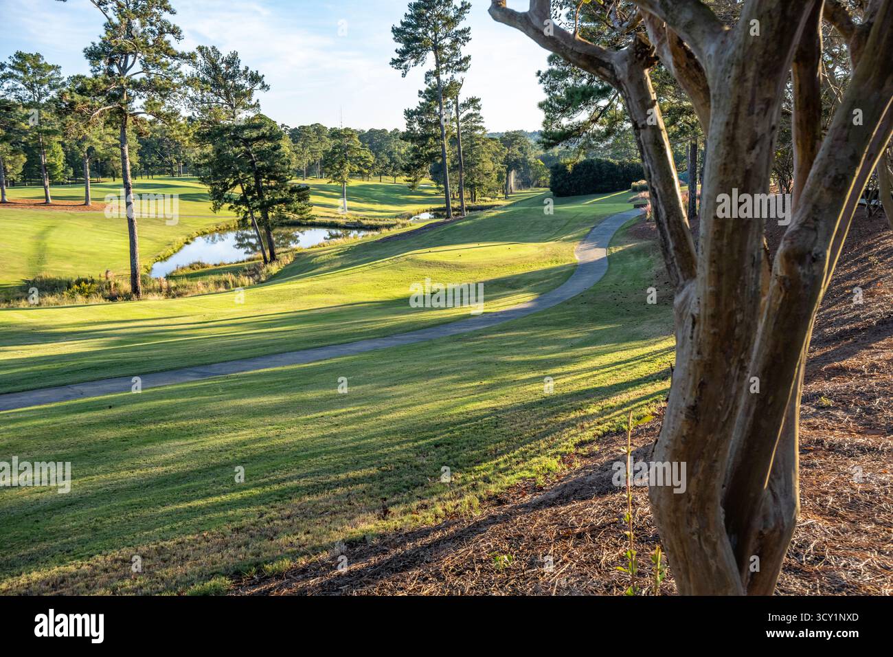 Parcours de golf Green Island Country Club au coucher du soleil à Columbus, Géorgie. (ÉTATS-UNIS) Banque D'Images