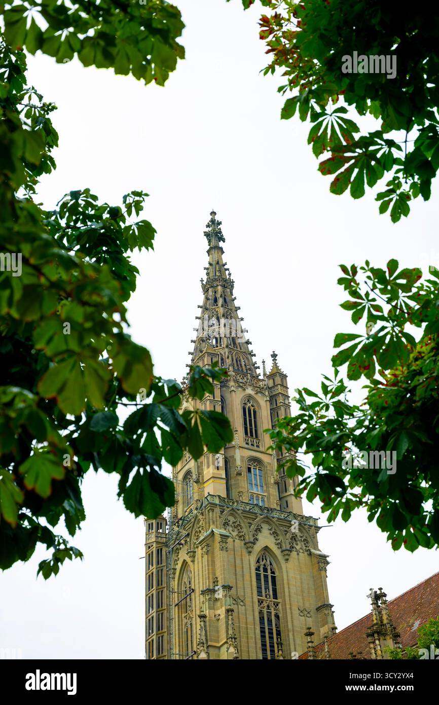 Belle cathédrale de Münster de Vincent avec Tour et ciel avec branche d'arbre dans la ville de Berne, canton de Berne, Suisse. *** Légende locale *** cathe Banque D'Images