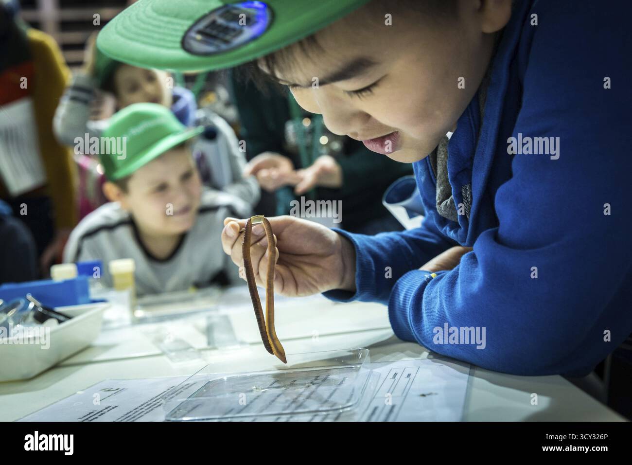 DEU Allemagne Berlin scène des semaines vertes, le salon annuel de l'alimentation, de l'agriculture et de l'écologie. Pupilles avec vers de terre Banque D'Images
