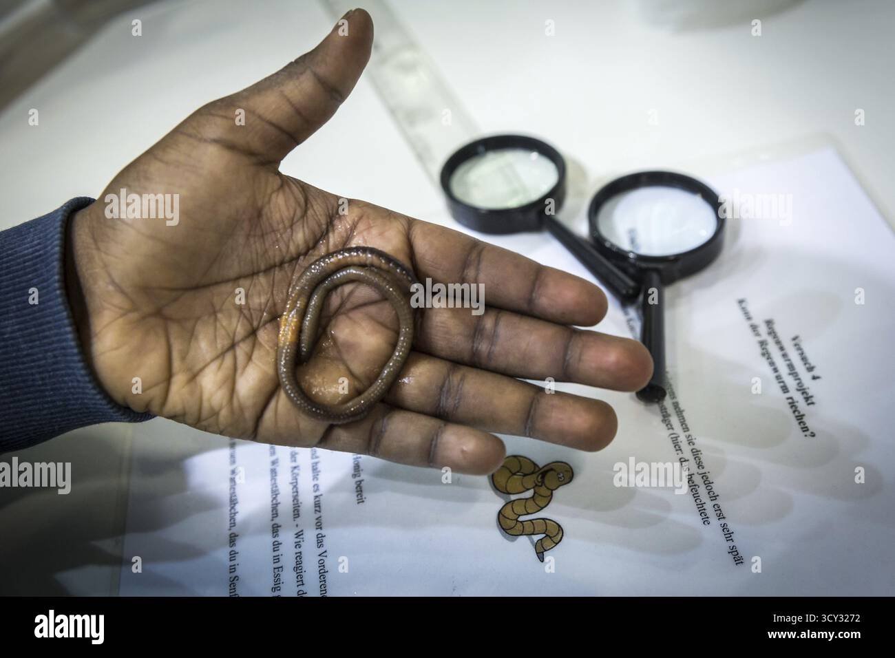 DEU Allemagne Berlin scène des semaines vertes, le salon annuel de l'alimentation, de l'agriculture et de l'écologie. Pupilles avec vers de terre Banque D'Images