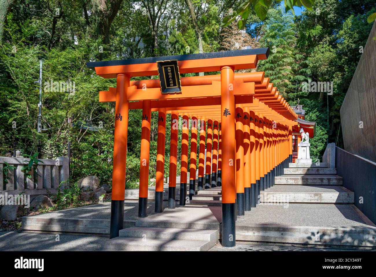 Chemin Torii au sanctuaire Ikuta-jinja, Kobe, Japon Banque D'Images