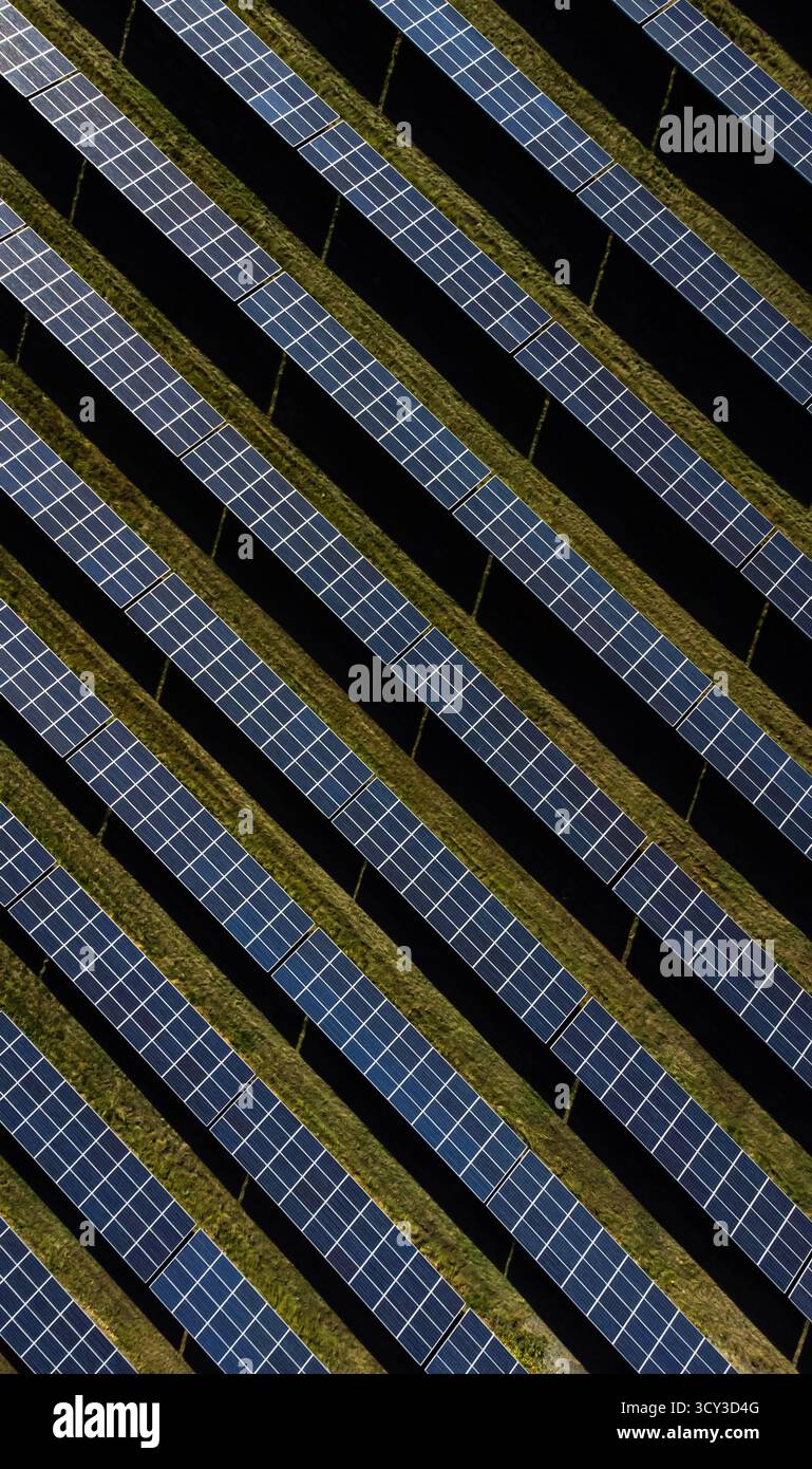 Vue aérienne aérienne de rangées de panneaux solaires pour la production d'énergie. Banque D'Images