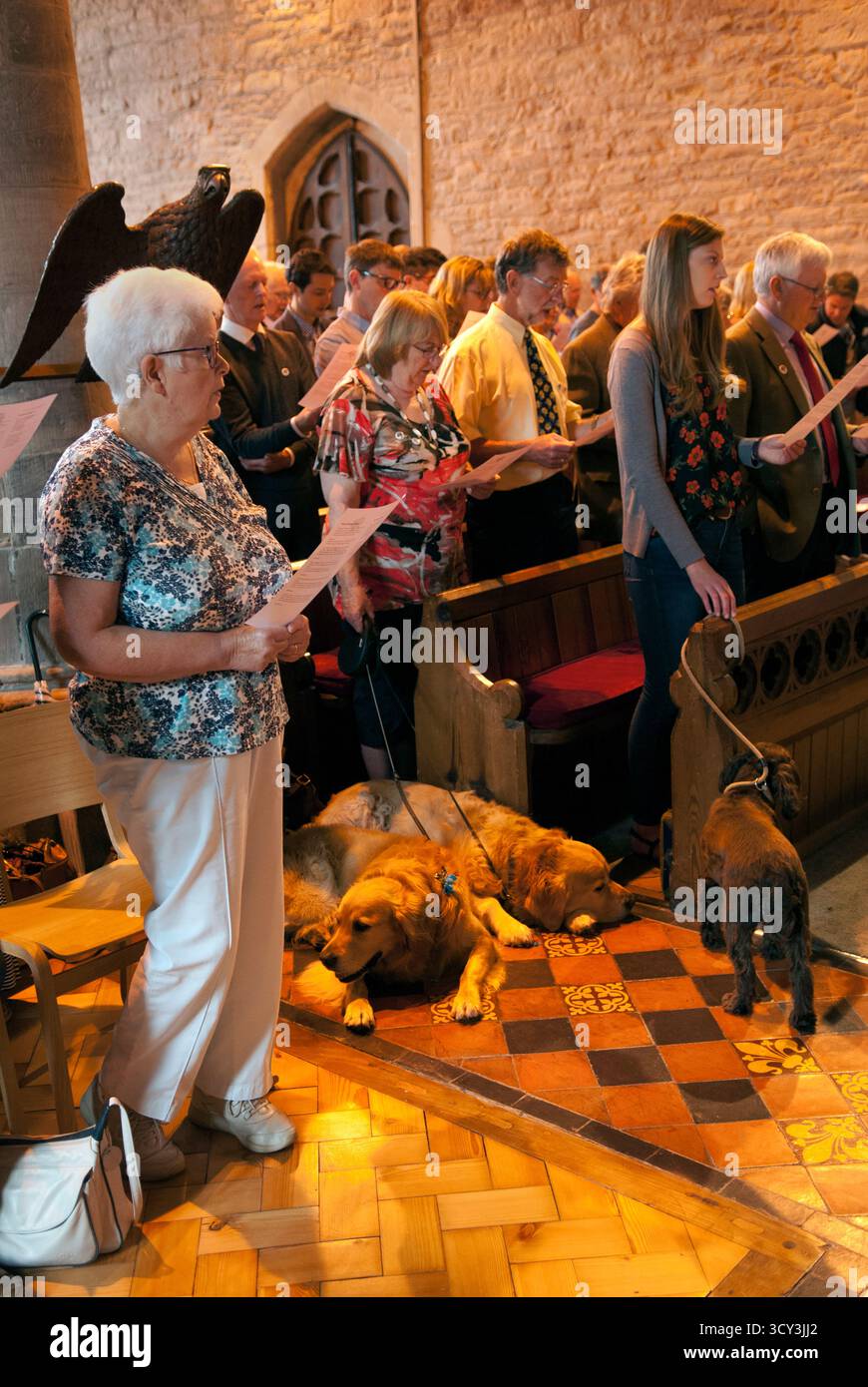 Les animaux de compagnie de la famille gisent tranquillement sur le plancher de l'église pendant un service religieux à l'église St Mary's Church Fownhope Herefordshire.le service fait partie de la Fownhope Heart of Oak Society Club Walk Day. Fownhope, Herefordshire, Angleterre juin 2018 2010 Royaume-Uni HOMER SYKES Banque D'Images