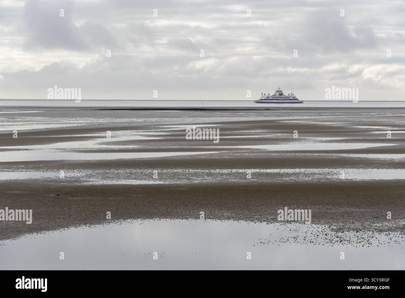 Un ferry du Wyker Dampfschiffs-Reederei (W.D.R.) navigue à marée basse dans la mer des Wadden entre Foehr et le continent, Schleswig-Holstein, Allemagne Banque D'Images