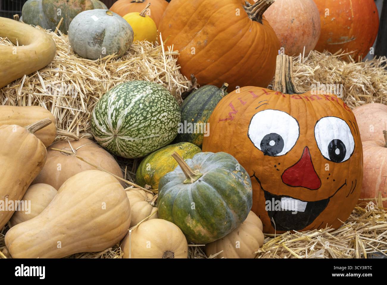 Un tas de citrouilles sur des balles de paille, certaines peintes avec un visage joyeux, crée une décoration d'automne colorée et amusante, Muensterland, Rhénanie du Nord-Westpha Banque D'Images