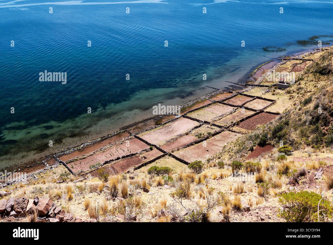 Lac Titicaca au Pérou : champs inondés sur l'île de Taquile. Banque D'Images
