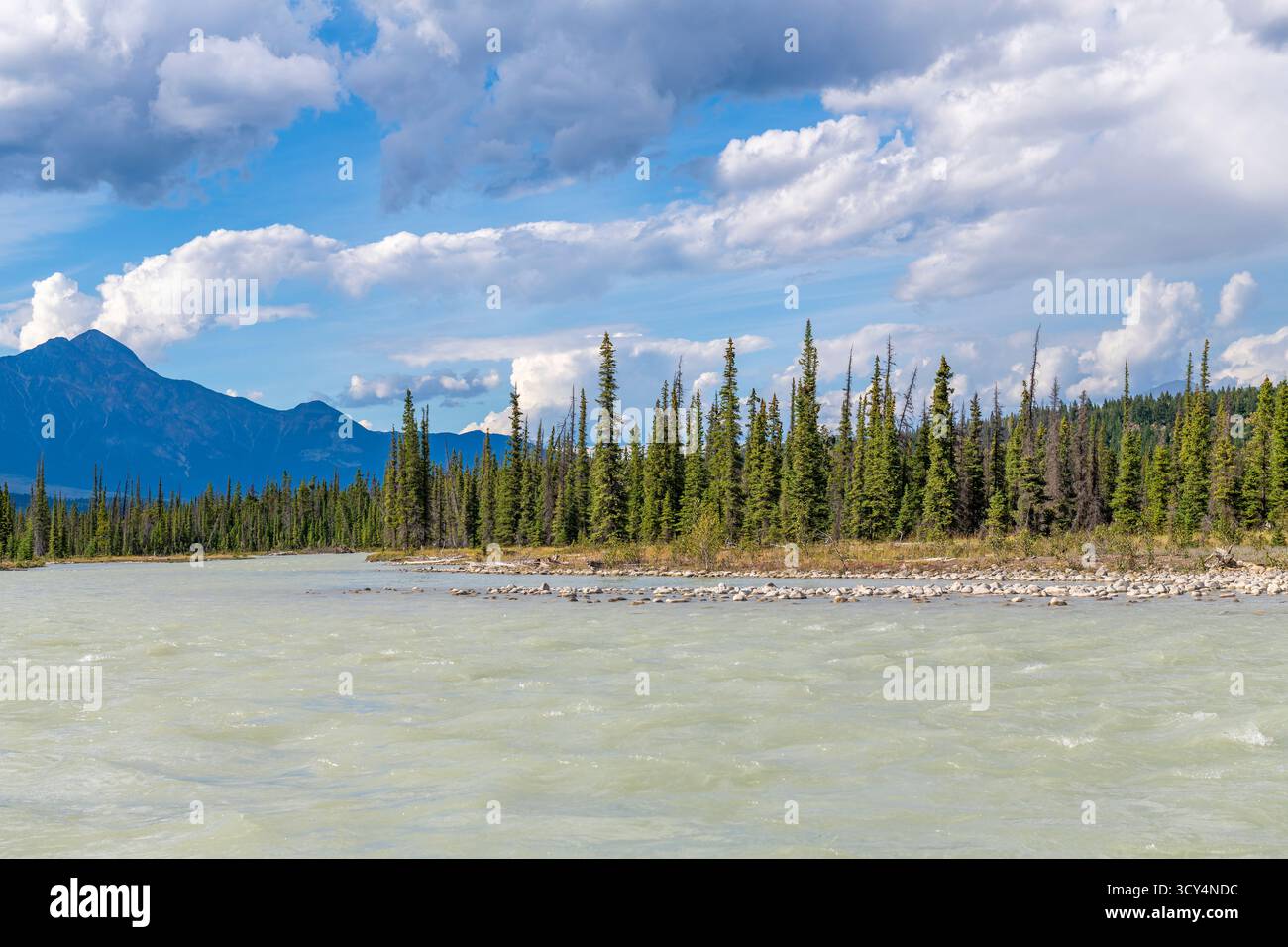 Rivière Athabasca pendant le rafting, parc national Jasper, Alberta, Canada. Banque D'Images