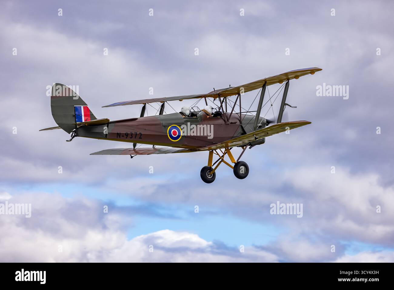 tiger moth, lion et léopard Banque D'Images