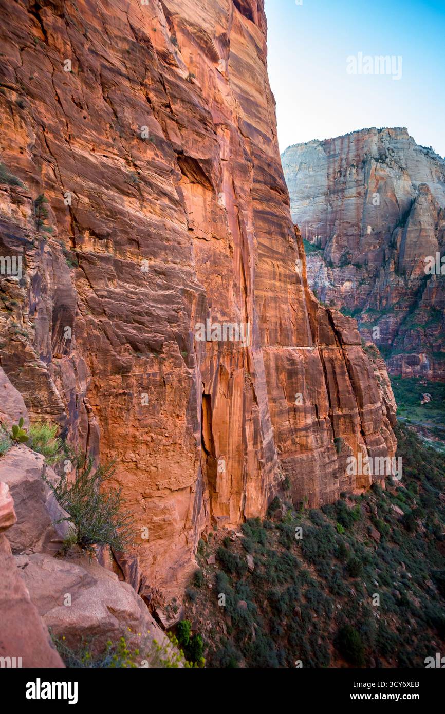 De hautes falaises de grès le long du West Rim Trail jusqu'à Angels Landing dans le parc national de Zion, Utah Banque D'Images