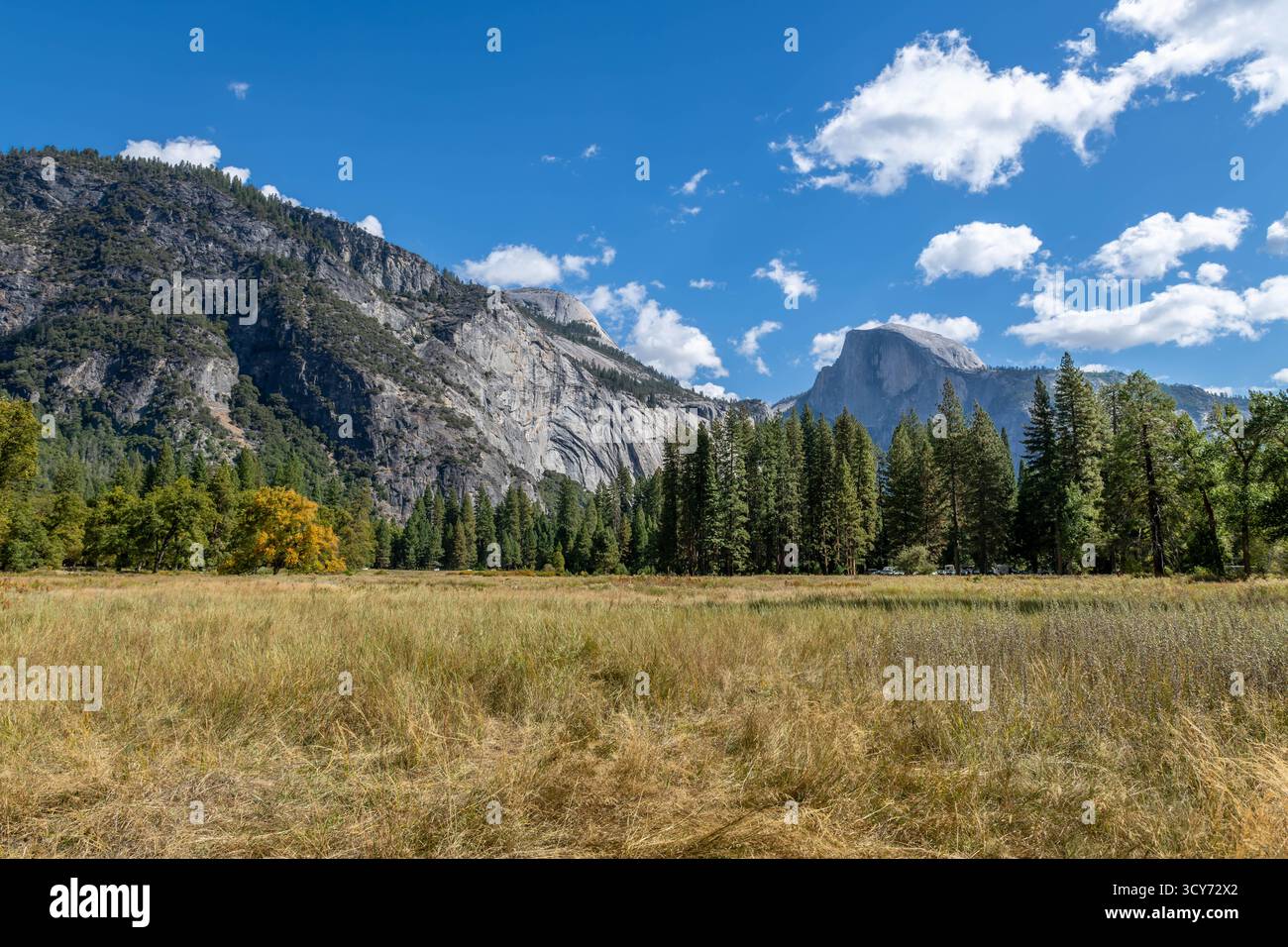 Yosemite National Park Banque D'Images