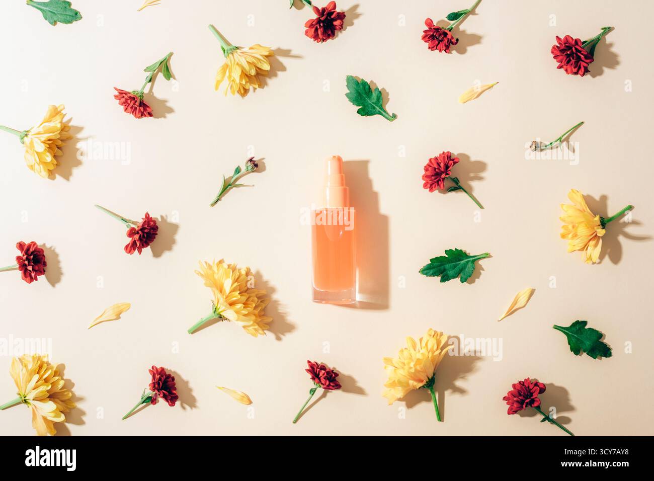 Bouteille cosmétique en verre avec des chrysanthèmes jaunes et rouges sur fond beige avec des ombres. Flat lay, concept de beauté naturelle. Vue de dessus, maquette. Banque D'Images