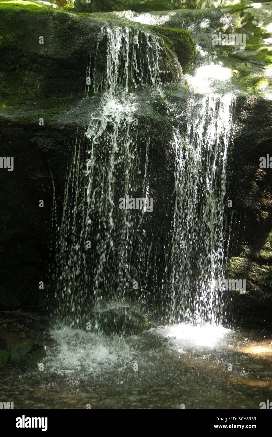 Cascade le long de Cornelius Creek dans les Blue Ridge Mountains, va, USA Banque D'Images