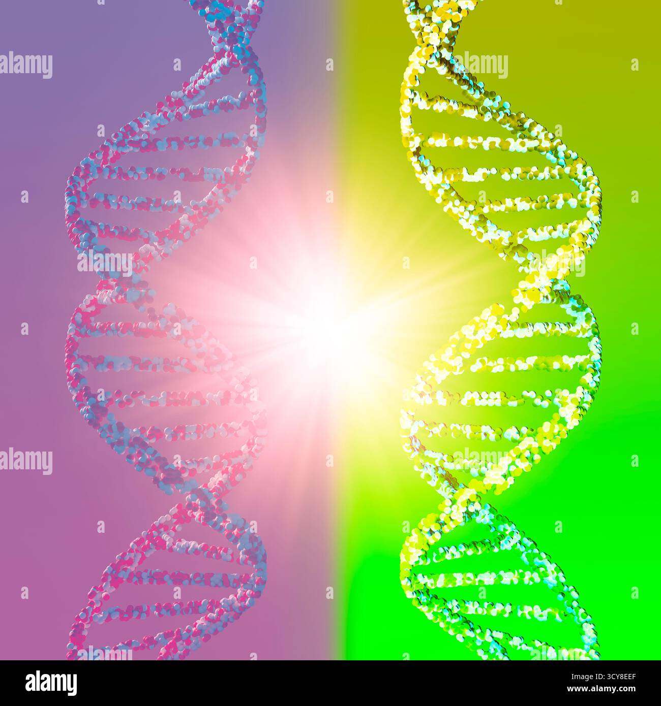 Mirror Life, illustration conceptuelle. Beaucoup de biomolécules sont chirales, c'est-à-dire qu'elles peuvent exister sous deux formes miroirs analogues à des versions droitières et gauches. Une seule des formes se retrouvera dans la nature. Par exemple, l'ADN est droitier et les protéines gaucher. Il doit être possible de réaliser des cellules, dites cellules miroirs, entièrement à partir de molécules d'image miroir. Cependant, cela a été mis en garde contre, car les systèmes immunitaires, les médicaments et les antimicrobiens ne fonctionneraient pas contre les cellules miroirs et ils pourraient se propager sans contrôle. Banque D'Images