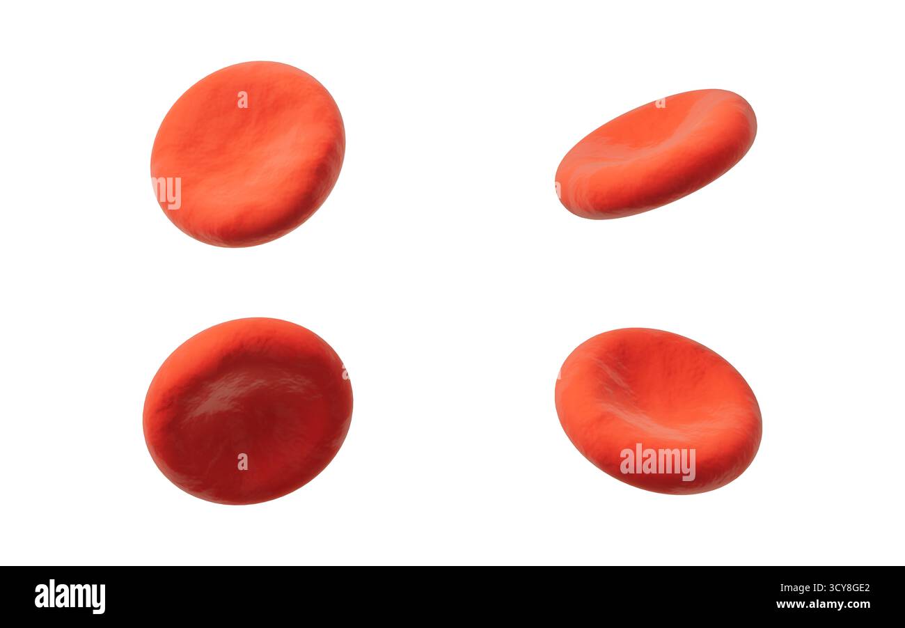 Globules rouges isolés, 3e rendu. Illustration 3D. Banque D'Images