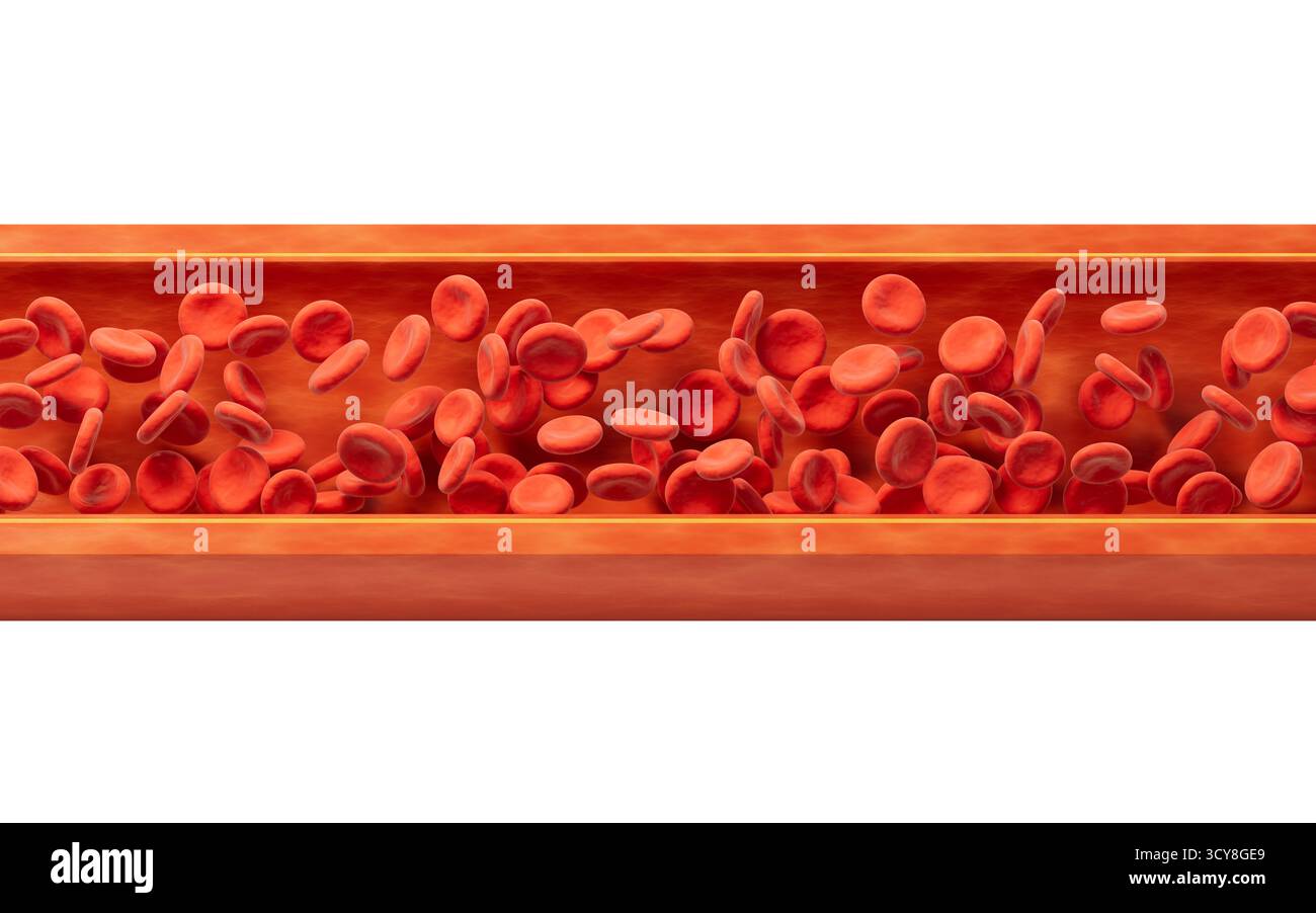 Globules rouges dans le vaisseau sanguin, 3e rendu. Illustration 3D. Banque D'Images