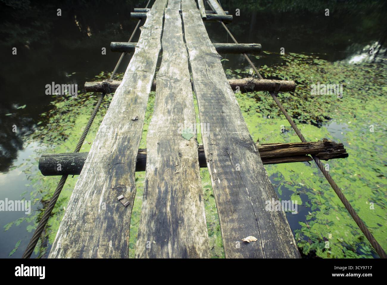 Fragment de pont de corde en bois au-dessus des eaux de rivière de forêt Banque D'Images