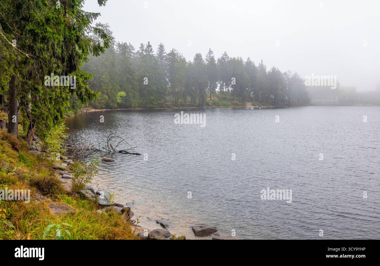 Paysage brumeux autour du Mummelsee, un petit lac à flanc de montagne ouest de la Hornisgrinde dans le nord de la Forêt Noire en Allemagne Banque D'Images