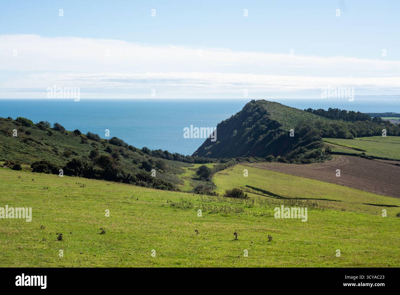 Peak Hill, Sidmouth. Banque D'Images