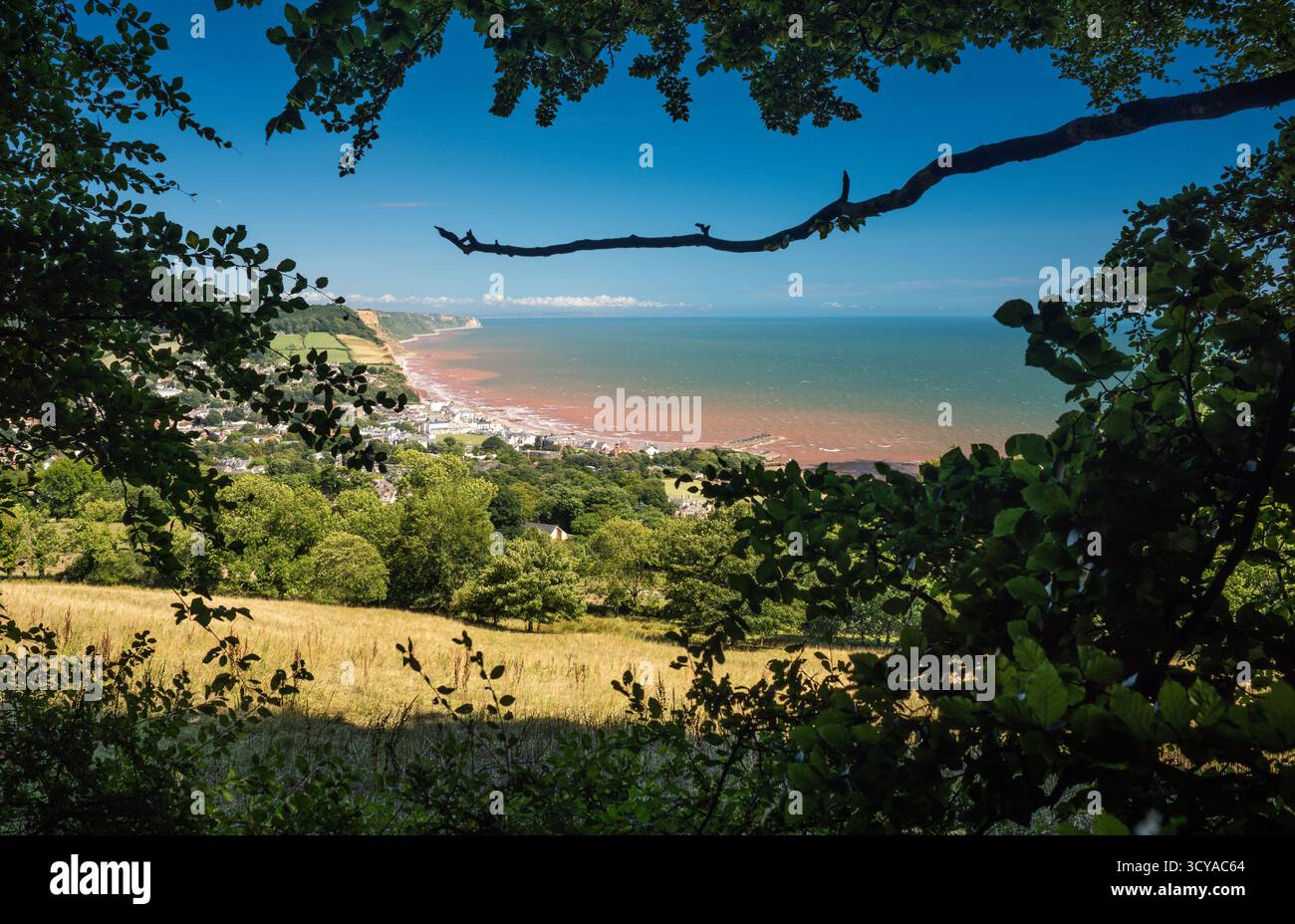 Baie Sidmouth. Banque D'Images