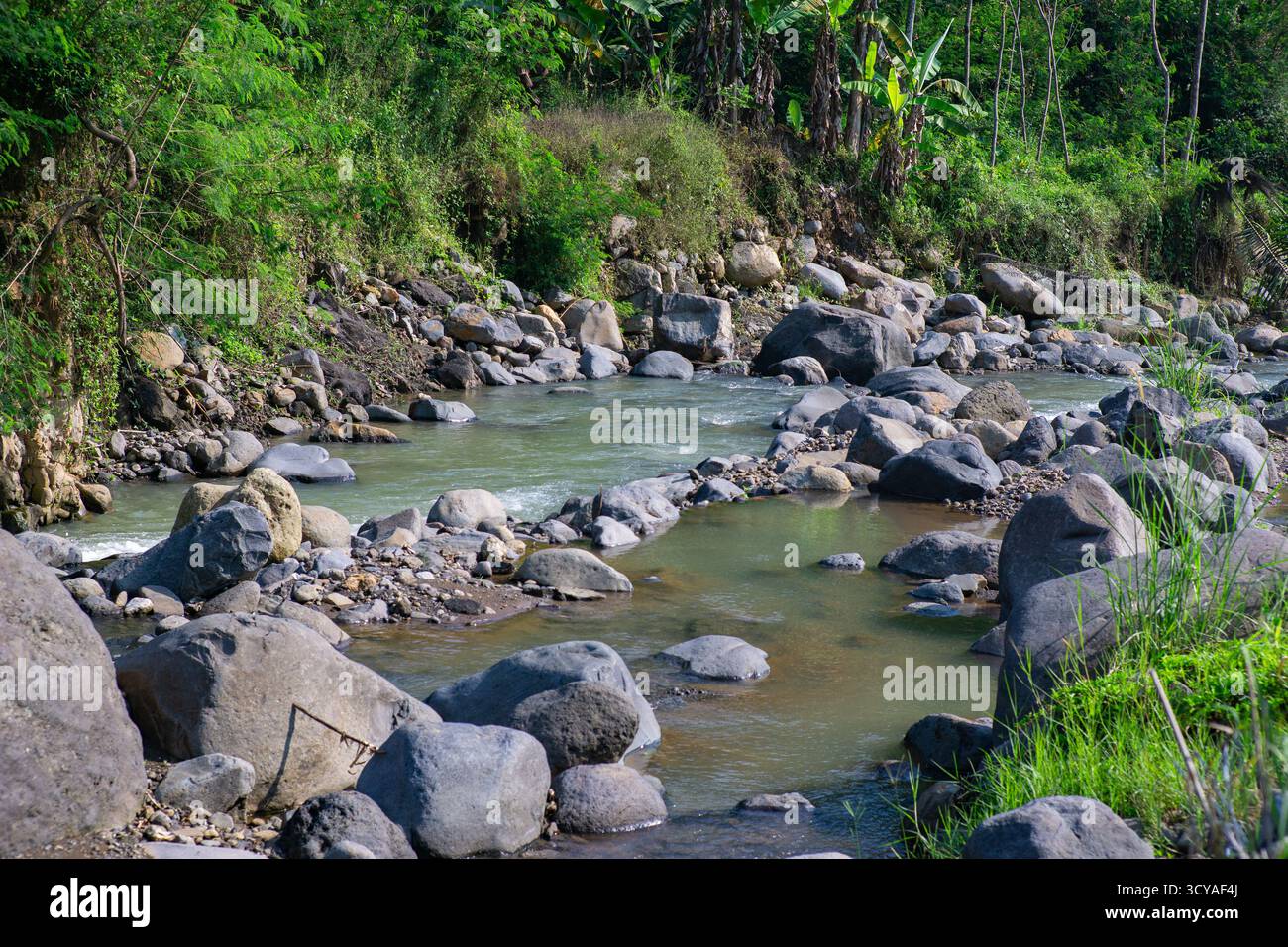 Une rivière rocheuse peu profonde dans une zone tropicale, illustrant les ressources en eau douce, la gestion des bassins versants et les questions de durabilité environnementale. Banque D'Images