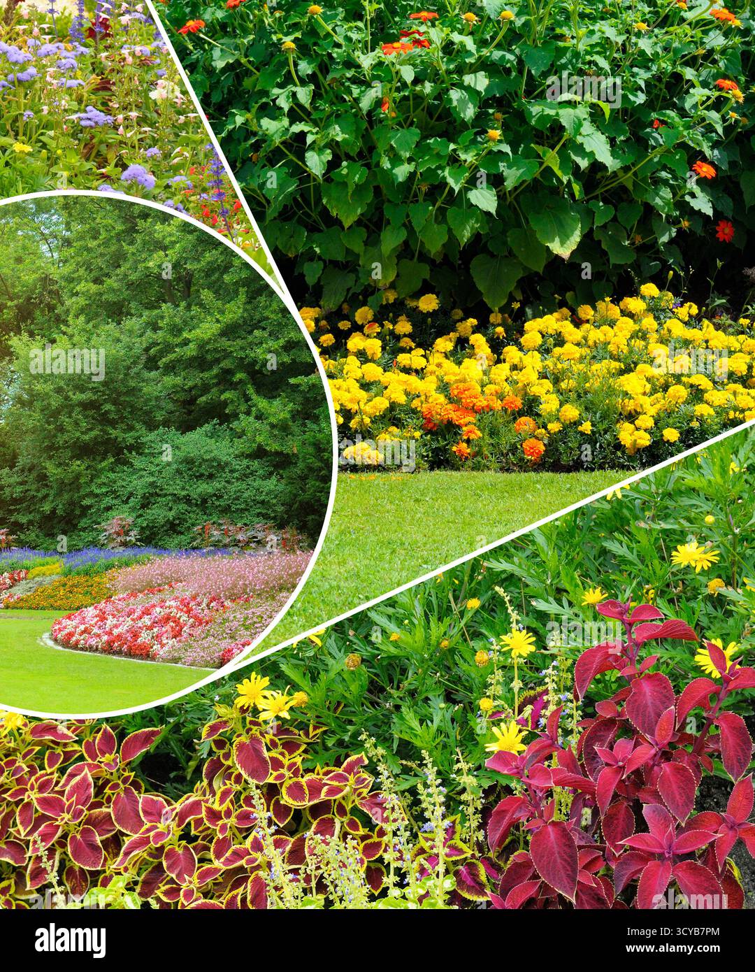 Un collage photo dynamique et vertical mêle habilement les vues multiples d'un parc magnifiquement aménagé, avec des parterres de fleurs denses et vibrantes et un vert luxuriant Banque D'Images