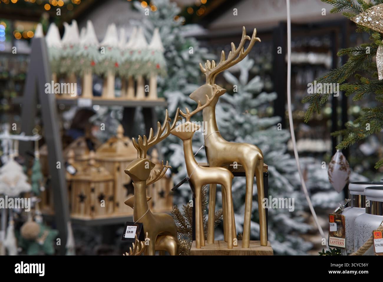 Décorations de rennes dorés élégantes en exposition festive entourées d'arbres de Noël enneigés au Haskins Garden Centre. Haskins Garden Centre, Snowhill Banque D'Images
