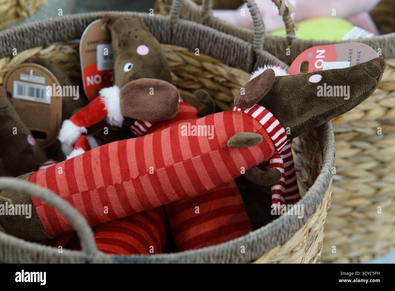 Chiens en peluche dans des tenues rayées rouges exposés dans des paniers tissés au Haskins Garden Centre pendant la saison des fêtes. Banque D'Images