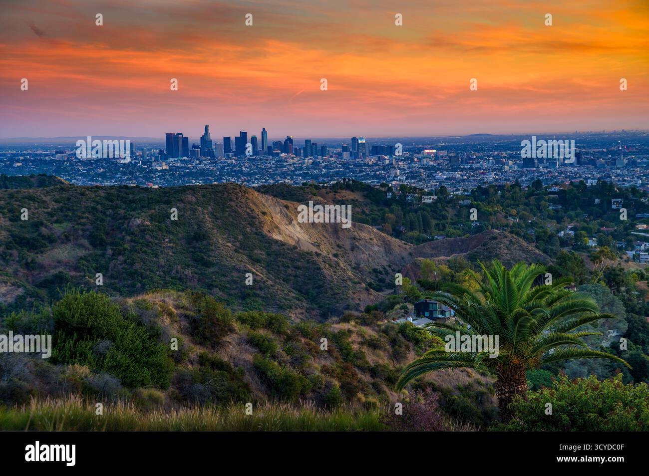 Horizon de Los Angeles au coucher du soleil depuis Mt. Lee Drive, Californie Banque D'Images