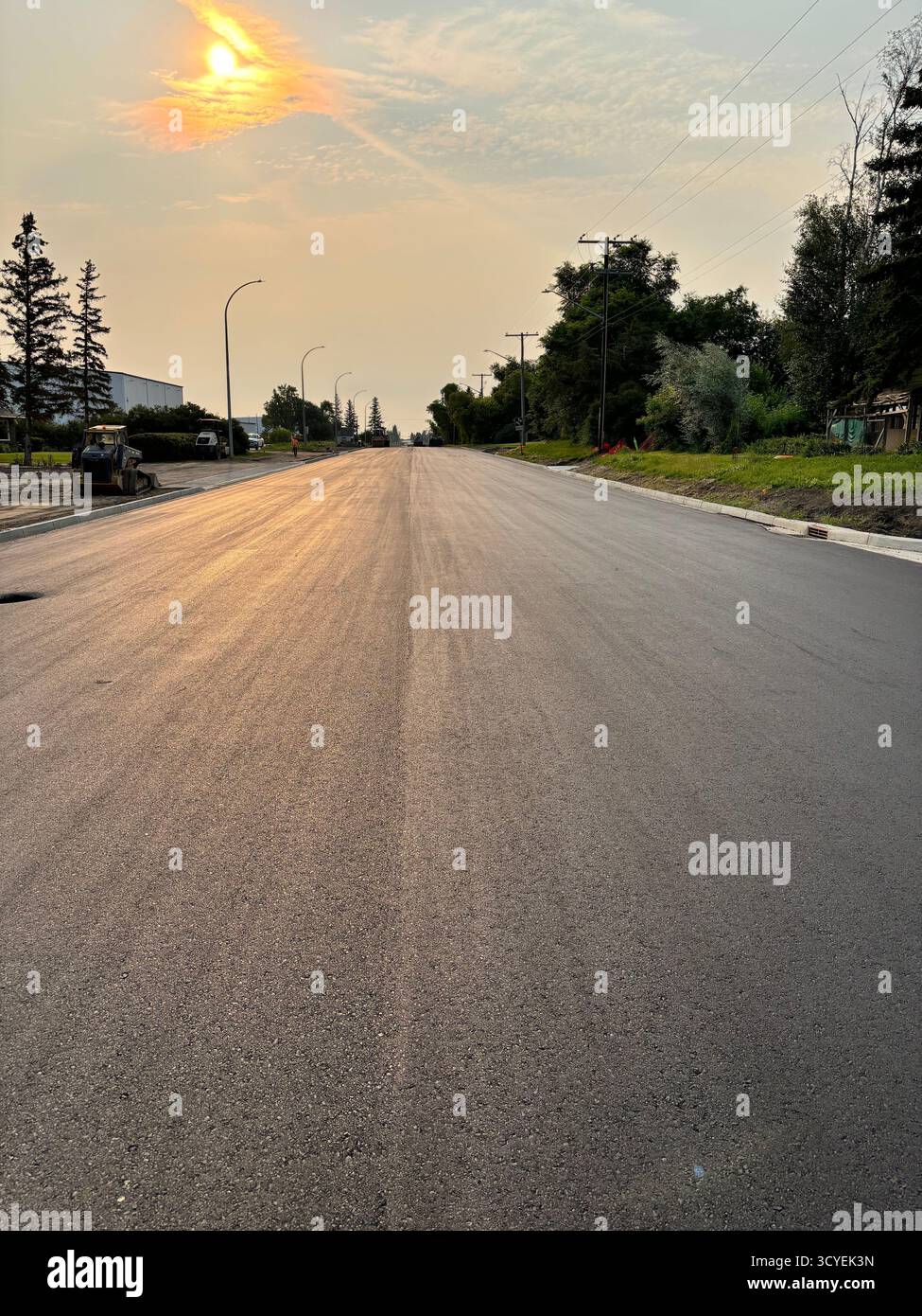 Rue résidentielle fraîchement pavée, montrant une nouvelle surface lisse en asphalte, des arbres en bordure de route et des lignes électriques dans un quartier de banlieue. - Image de stock capturée avec un smartphone