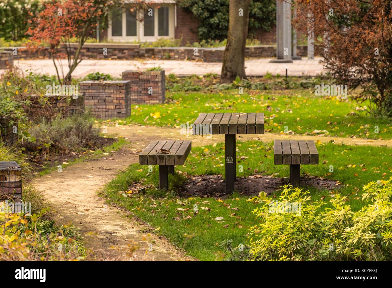 Bancs en bois gris avec table dans le parc d'automne vide — herbe verte recouverte de feuilles Banque D'Images