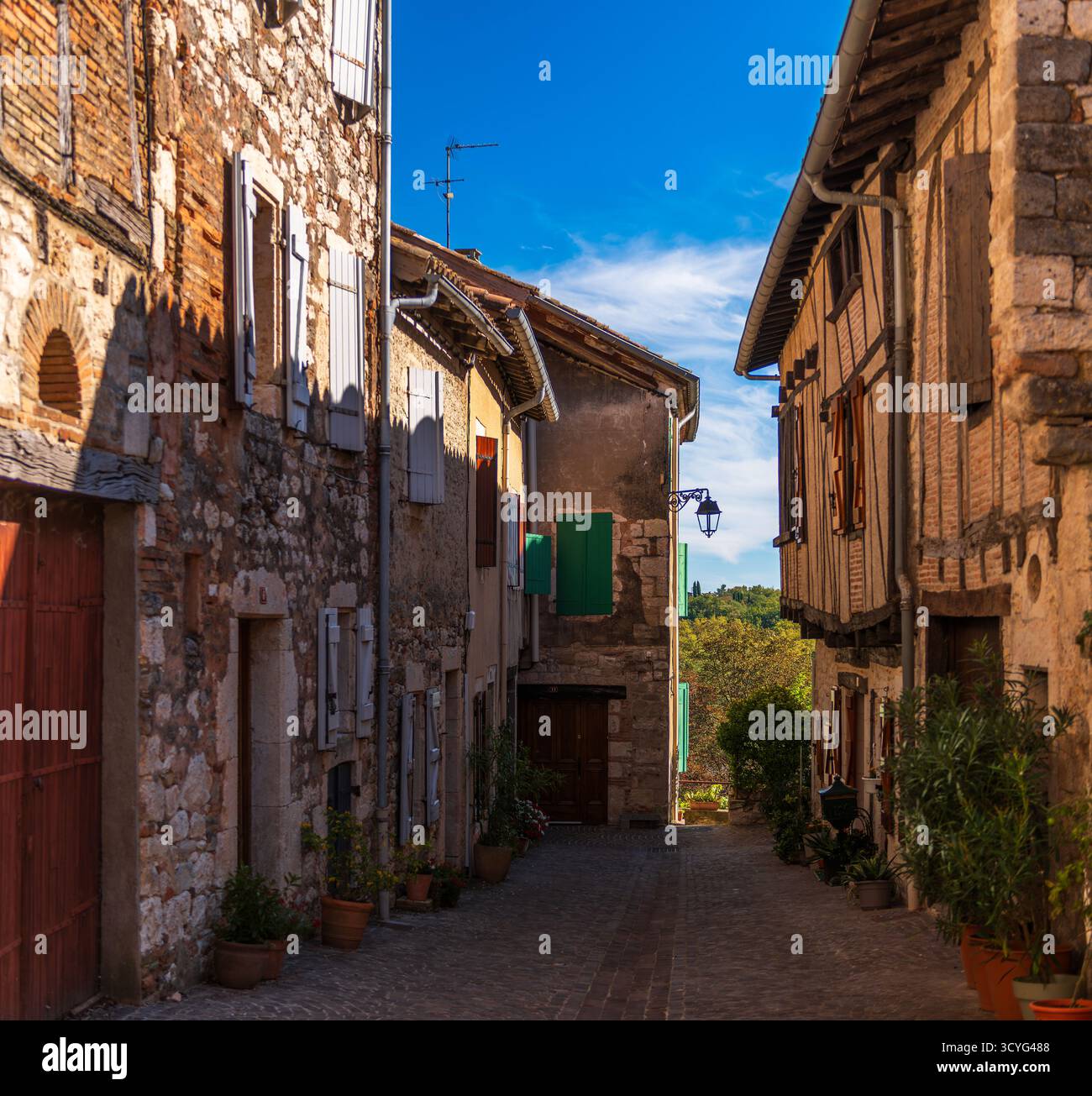 Village médiéval de Castelnau de Montmiral dans le Tarn en Occitanie Banque D'Images