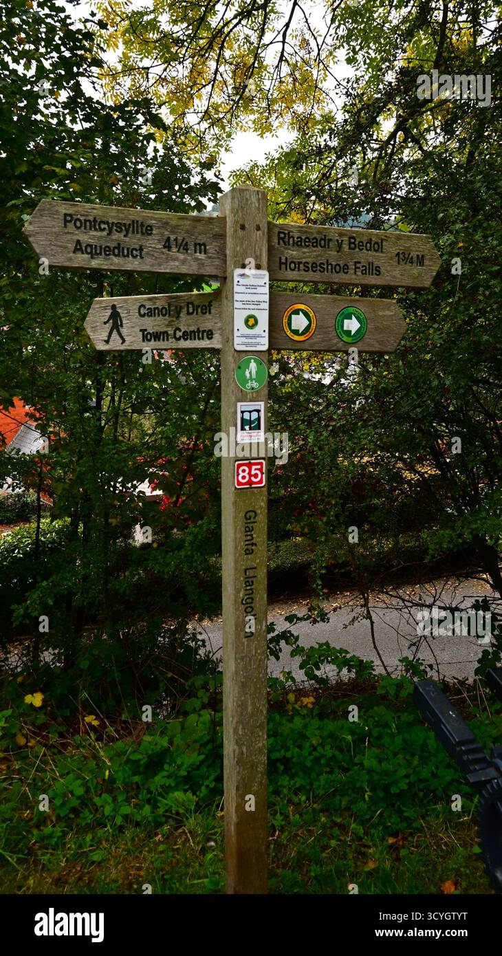 Panneau d'information en bois sur le canal de Llangollen montrant les promenades le long du canal de Llangollen et jusqu'à la ville. Banque D'Images