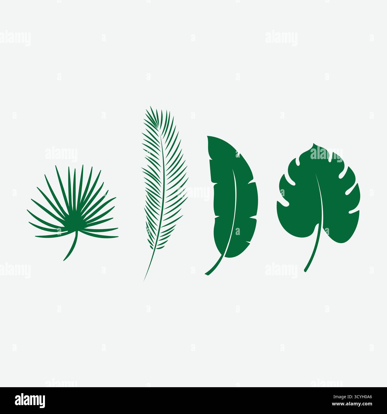 Ensemble de Palm Monstera Fern Banana Plant Tree Jungle Leaves illustration Design Vector Illustration de Vecteur