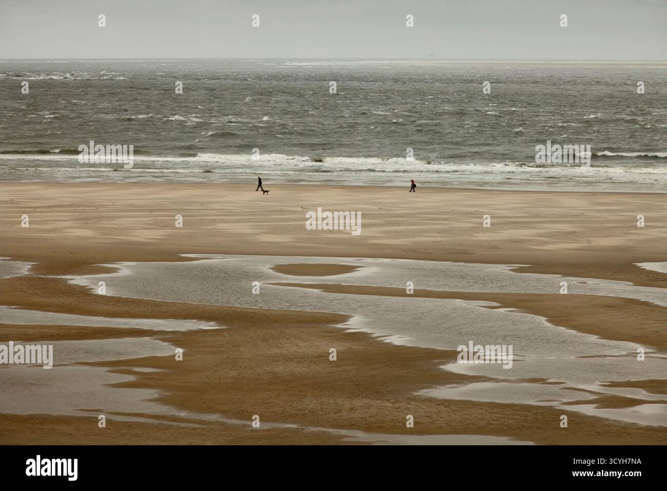 Côte de la mer du Nord à la pointe la plus septentrionale de l'île Texel, pays-Bas. Banque D'Images
