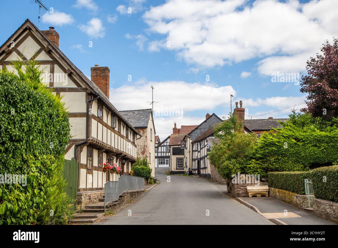 Cottages de campagne à colombages noirs et blancs dans le village de Weobley dans le Herefordshire, une partie de la piste noire et blanche. Banque D'Images