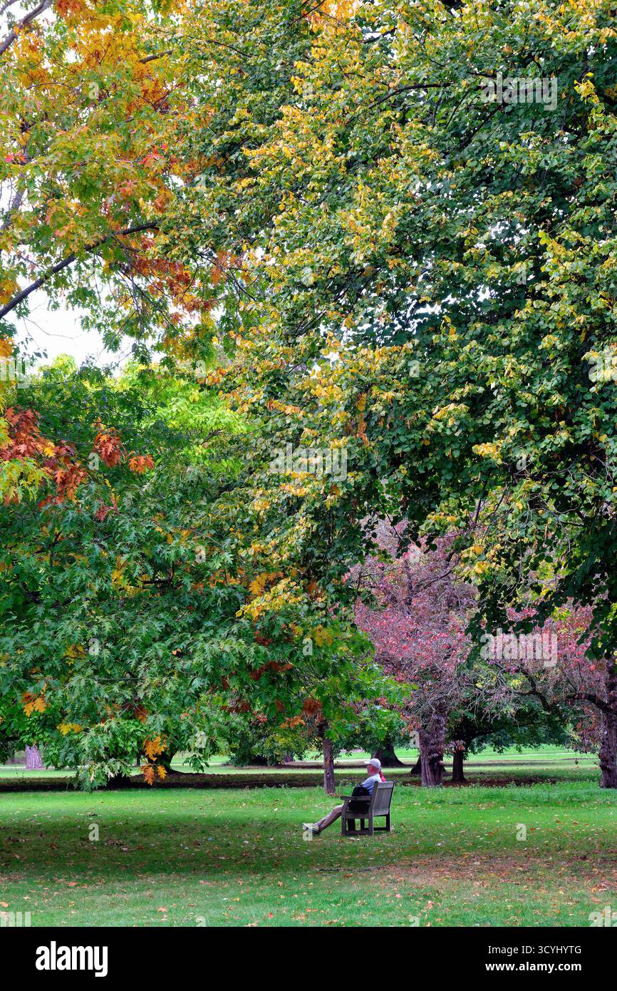 Un couple assis sur un banc admirant le feuillage coloré de l'automne dans les jardins botaniques royaux de Kew Richmond Londres Angleterre Royaume-Uni Banque D'Images