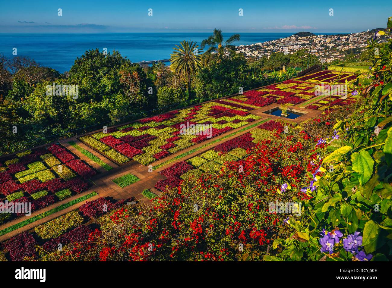 Le célèbre jardin botanique de Funchal avec ses fleurs et ses plantes tropicales est l'une des destinations les plus visitées de l'île de Madère, au Portugal Banque D'Images