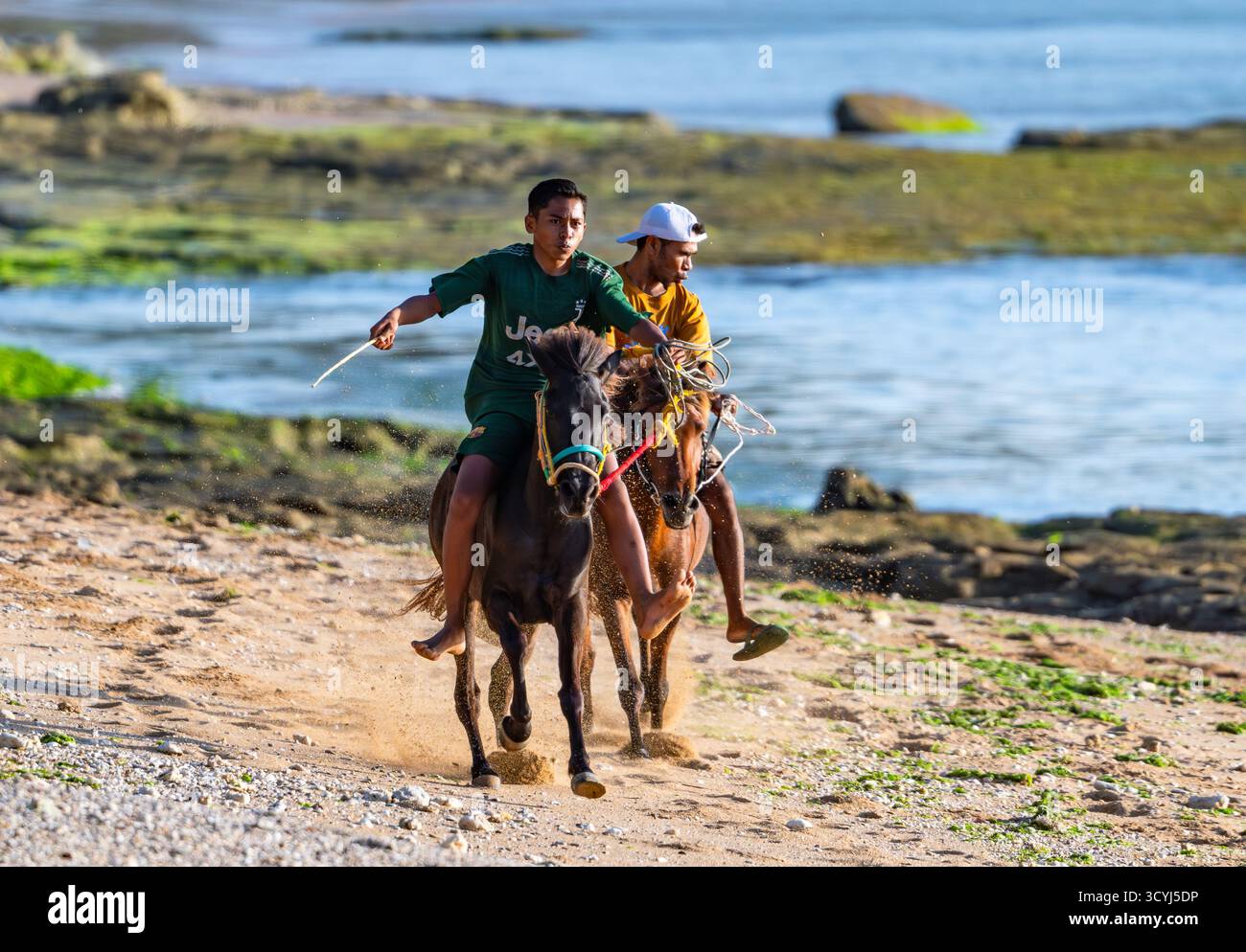 Deux jeunes hommes courant leurs chevaux sur la plage. Rote, Indonésie. Banque D'Images